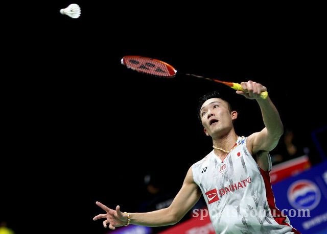 体育的活力 体育的活力