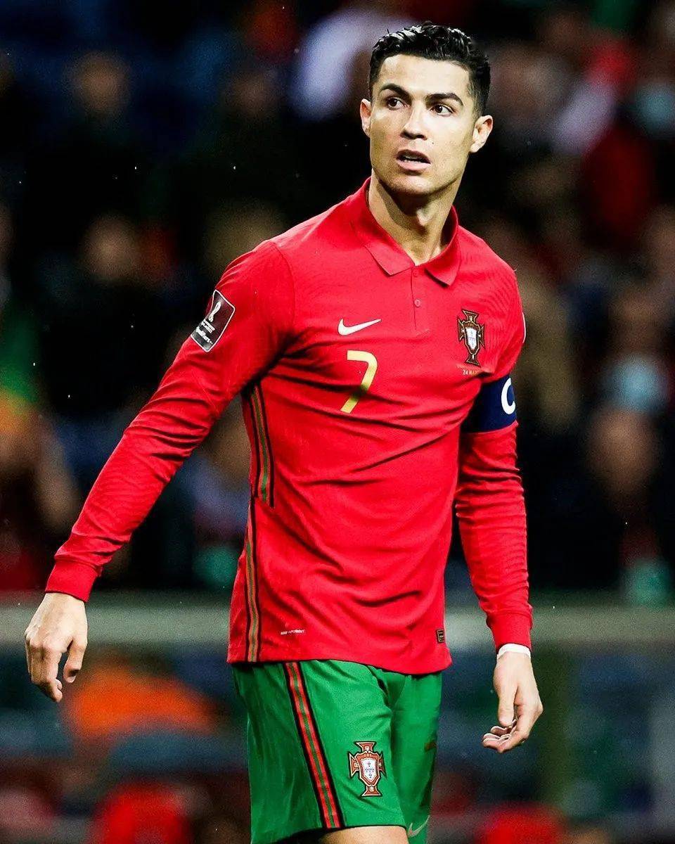 部作为葡萄 部作为葡萄