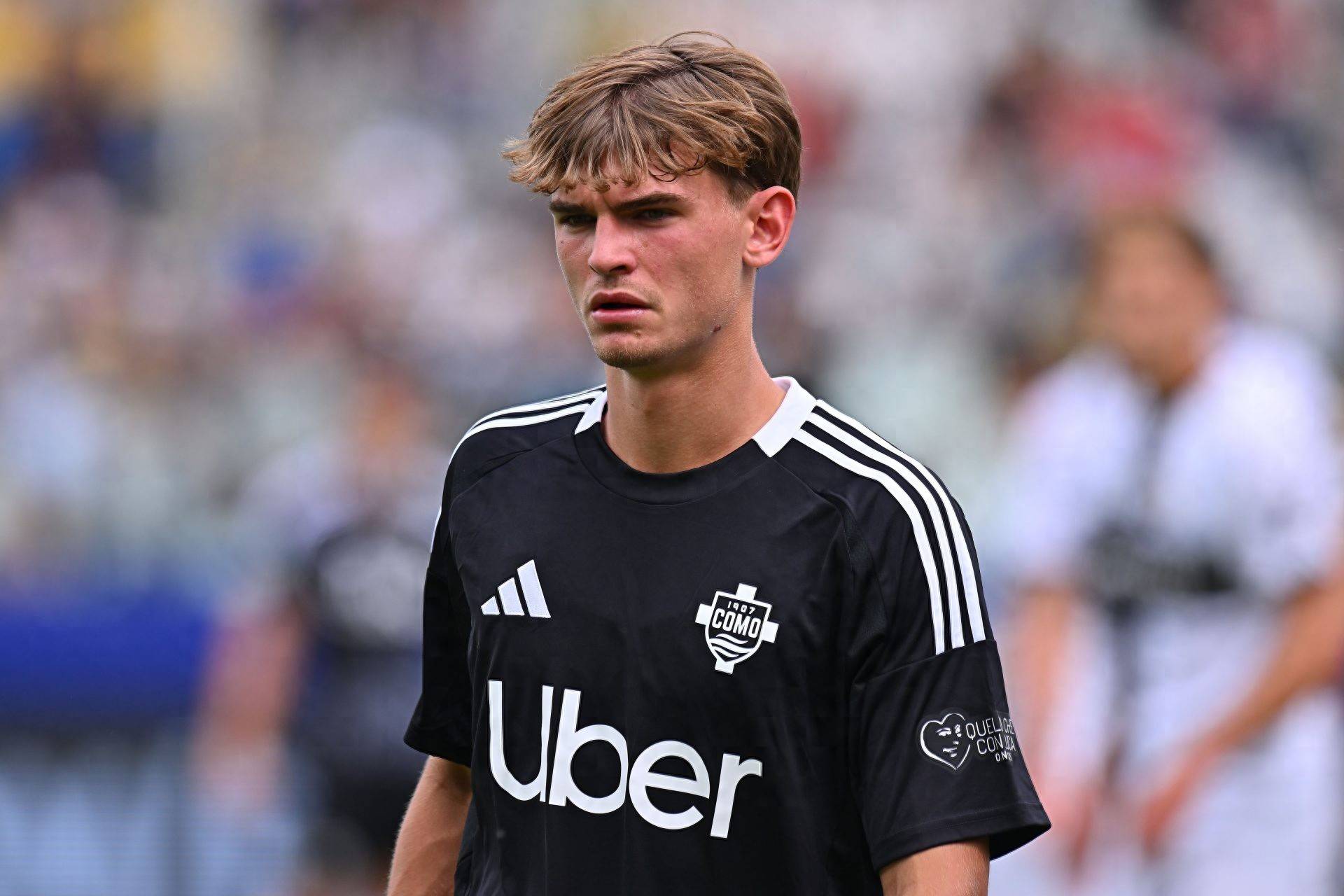 七巨头阵容 七巨头阵容