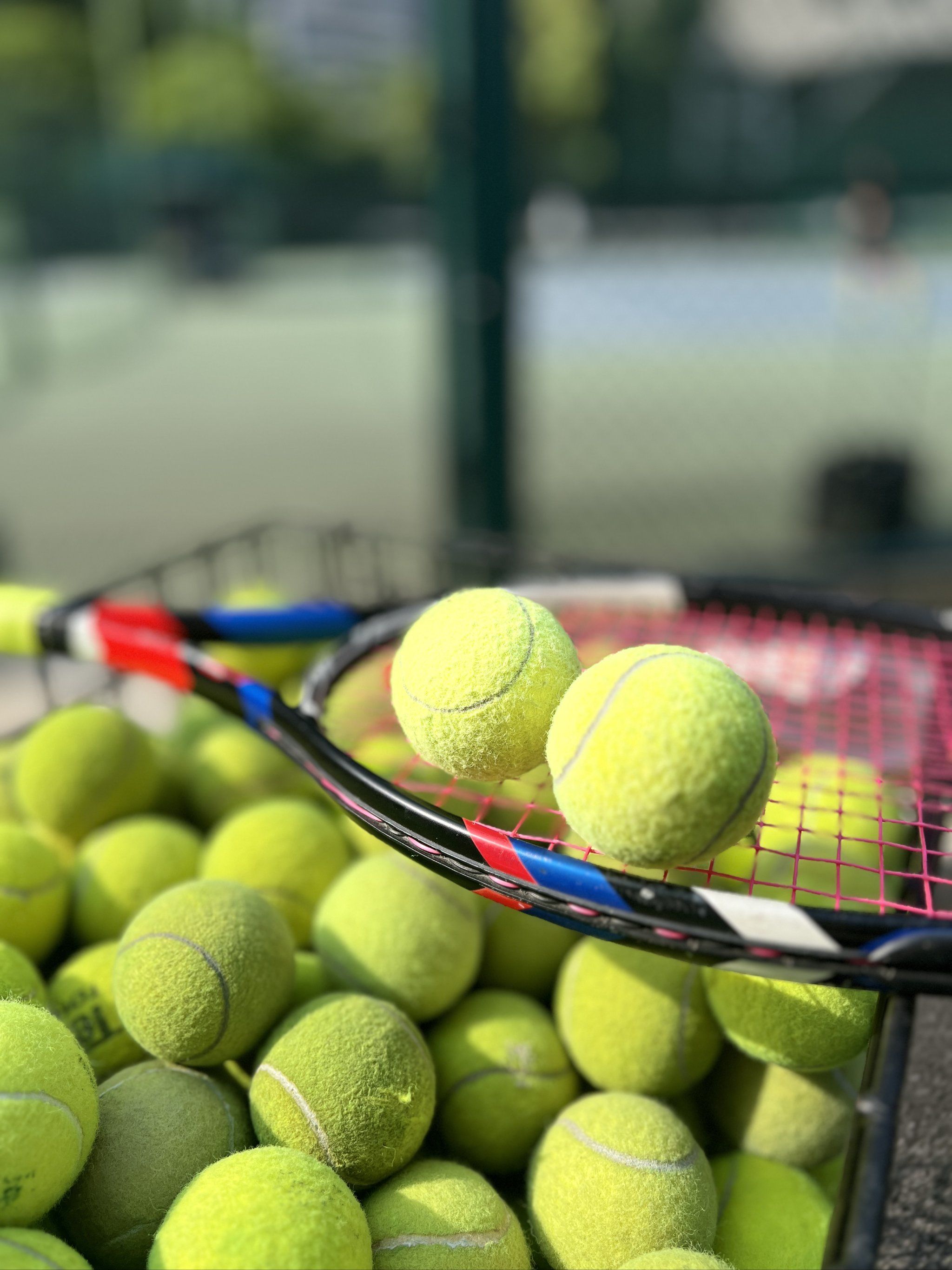 反压迫后的 反压迫后的